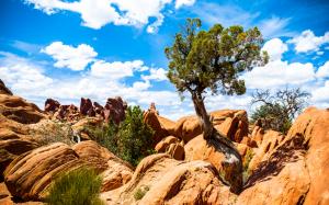 Arches National Park wallpaper thumb