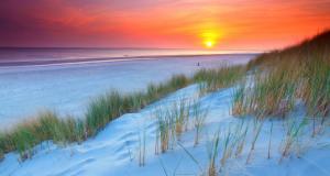 Nature, Landscape, Sunset, Netherlands, Beach, Sand, Dune, Sea, Grass wallpaper thumb