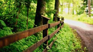 Green nature, road, wood fence wallpaper thumb