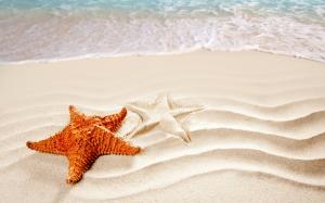 Beach, sand, surf, starfish wallpaper thumb