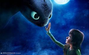 How to train your dragon Hiccup and Toothless in the night wallpaper thumb