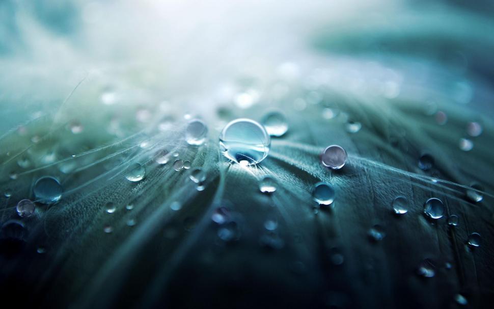 Water drops on fabric wallpaper,photography HD wallpaper,2560x1600 HD wallpaper,water HD wallpaper,drop HD wallpaper,fabric HD wallpaper,2560x1600 wallpaper