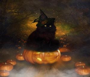 ~Halloween Black Cat~ wallpaper thumb
