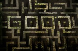 The Maze Runner Film wallpaper thumb