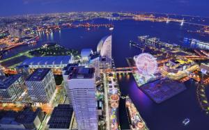 Japan, Yokohama, city, metropolis, buildings, houses, ferris wheel, bay, night wallpaper thumb