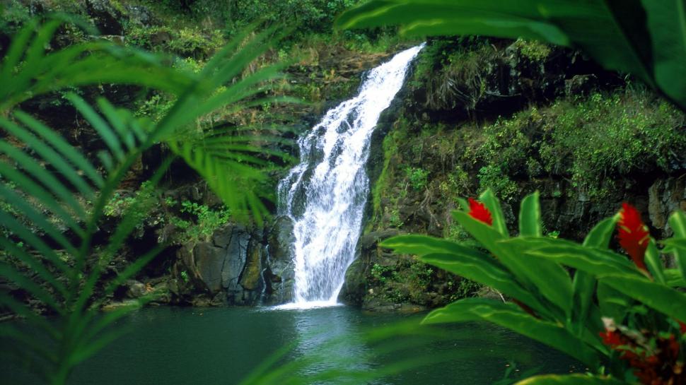Hawaii Falls Waterfalls Oahu Widescreen wallpaper,waterfalls HD wallpaper,falls HD wallpaper,hawaii HD wallpaper,oahu HD wallpaper,widescreen HD wallpaper,1920x1080 wallpaper