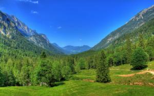 Germany, Bavaria, nature landscape, mountains, forest, trees, blue sky wallpaper thumb