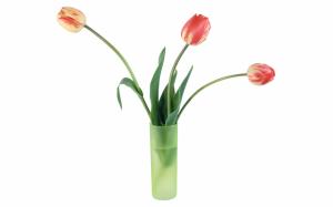 Tulips In Vase wallpaper thumb