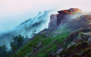 Early morning mountain landscape, forest, fog, flowers, grass, stones wallpaper thumb