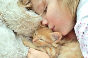 Girl and kitten love wallpaper thumb