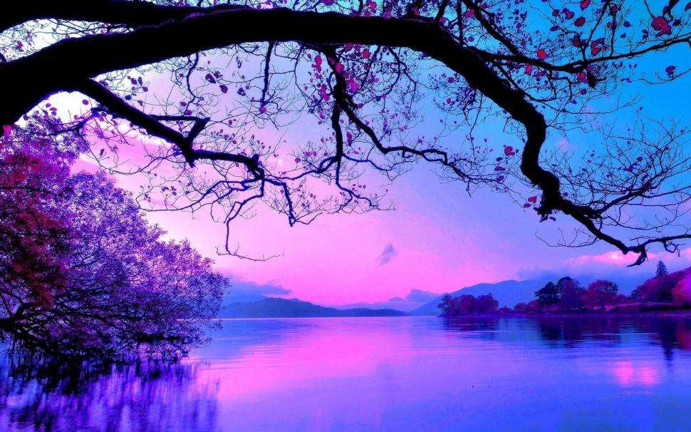 Pink Sunset Over the Lake wallpaper,Scenery HD wallpaper,2880x1800 wallpaper