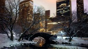 Winter In Central Park Nyc wallpaper thumb