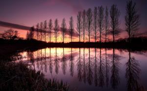 England beautiful nature landscape, lake, reflection, trees, sunset, dusk, purple wallpaper thumb