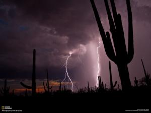 Storm Lightning Cactus Desert Clouds Shadow Silhouette HD wallpaper thumb