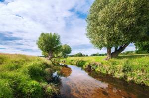 River, Trees, Grass, Nature, Landscape wallpaper thumb