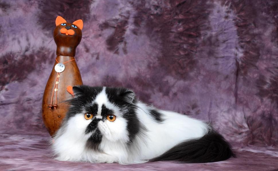 Persian cat, figurine, cat, spotted wallpaper,persian cat HD wallpaper,figurine HD wallpaper,spotted HD wallpaper,2272x1402 wallpaper