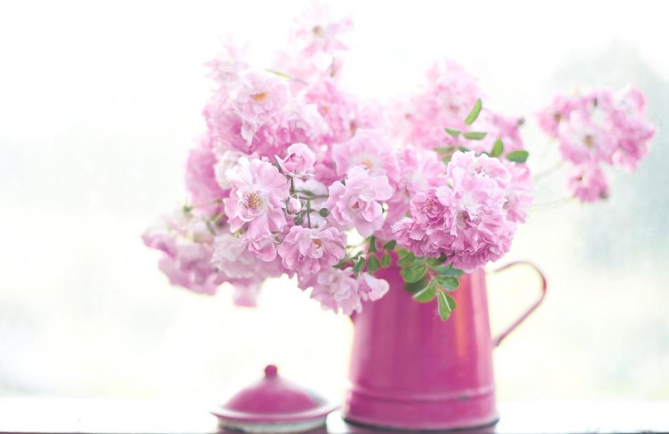 *** Romantic Pink Flowers *** wallpaper,flower HD wallpaper,nature HD wallpaper,pink HD wallpaper,flowers HD wallpaper,color HD wallpaper,nature & landscapes HD wallpaper,2048x1331 wallpaper