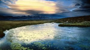 Floating Leaves Owens Valley California wallpaper thumb