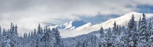Kenai Mountains, trees, thick snow, Chugach National Forest, Alaska, USA wallpaper thumb