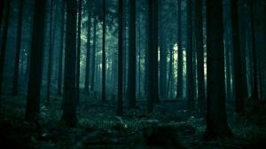Dark Forest HD wallpaper thumb