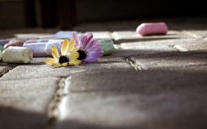 Chalk, Flowers, Ground, Closeup, Photography wallpaper thumb