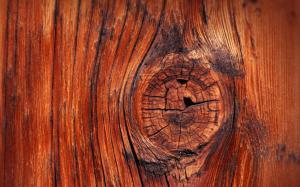 Wood knot wallpaper thumb