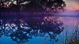 Landscape, Forest, Mist, Lake, Sunset wallpaper thumb