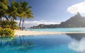 Tropical, resort, palm trees, pool, sea wallpaper thumb