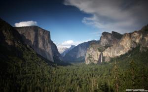 Yosemite Forest Landscape Trees Mountains HD wallpaper thumb