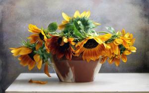 Bouquet flowers, sunflowers, still life wallpaper thumb