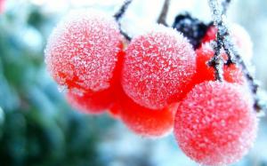 Frozen Fruits wallpaper thumb