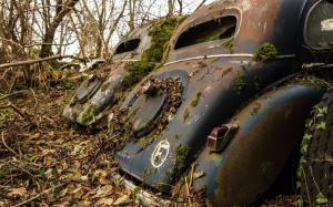 Old cars in dead leaves wallpaper thumb