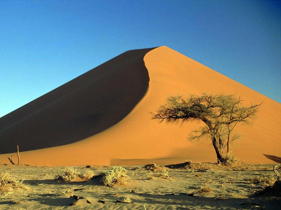 S Dunes Acacia Tree Namib Desert Namibia wallpaper,landscape HD wallpaper,fields HD wallpaper,3d & abstract HD wallpaper,1920x1440 wallpaper