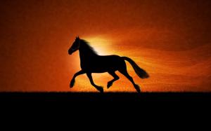 The black silhouette of a horse running wallpaper thumb