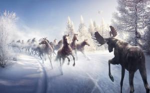 Horses in winter running wallpaper thumb