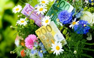 Flowers, cornflowers, chamomile, money, Euro wallpaper thumb