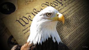 Eagle Of Freedom wallpaper thumb