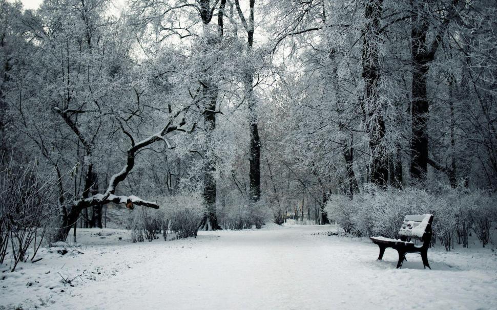 Winter day in the park wallpaper,photography HD wallpaper,1920x1200 HD wallpaper,snow HD wallpaper,winter HD wallpaper,tree HD wallpaper,bench HD wallpaper,park HD wallpaper,1920x1200 wallpaper
