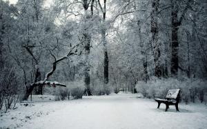Winter day in the park wallpaper thumb