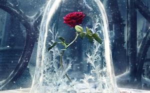Beauty and the Beast 2017 wallpaper thumb