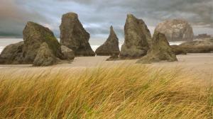 Grass Rocks Stones Beach HD wallpaper thumb