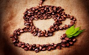Coffee Seeds Cup wallpaper thumb