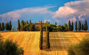Italy, Siena, Tuscany, trees, cypresses, fields, house, summer wallpaper thumb