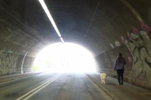 Tunnel, Pedestrian, Dog wallpaper thumb