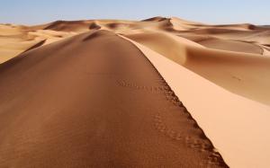 Desert, Landscape, Dune, Sand, Footprints wallpaper thumb