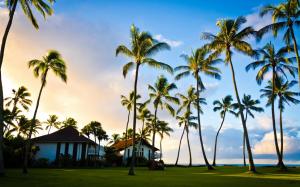 Hawaii, Kauai, beautiful scenery, palm tree, summer, house wallpaper thumb