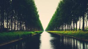 Trees, rivers, scenic wallpaper thumb