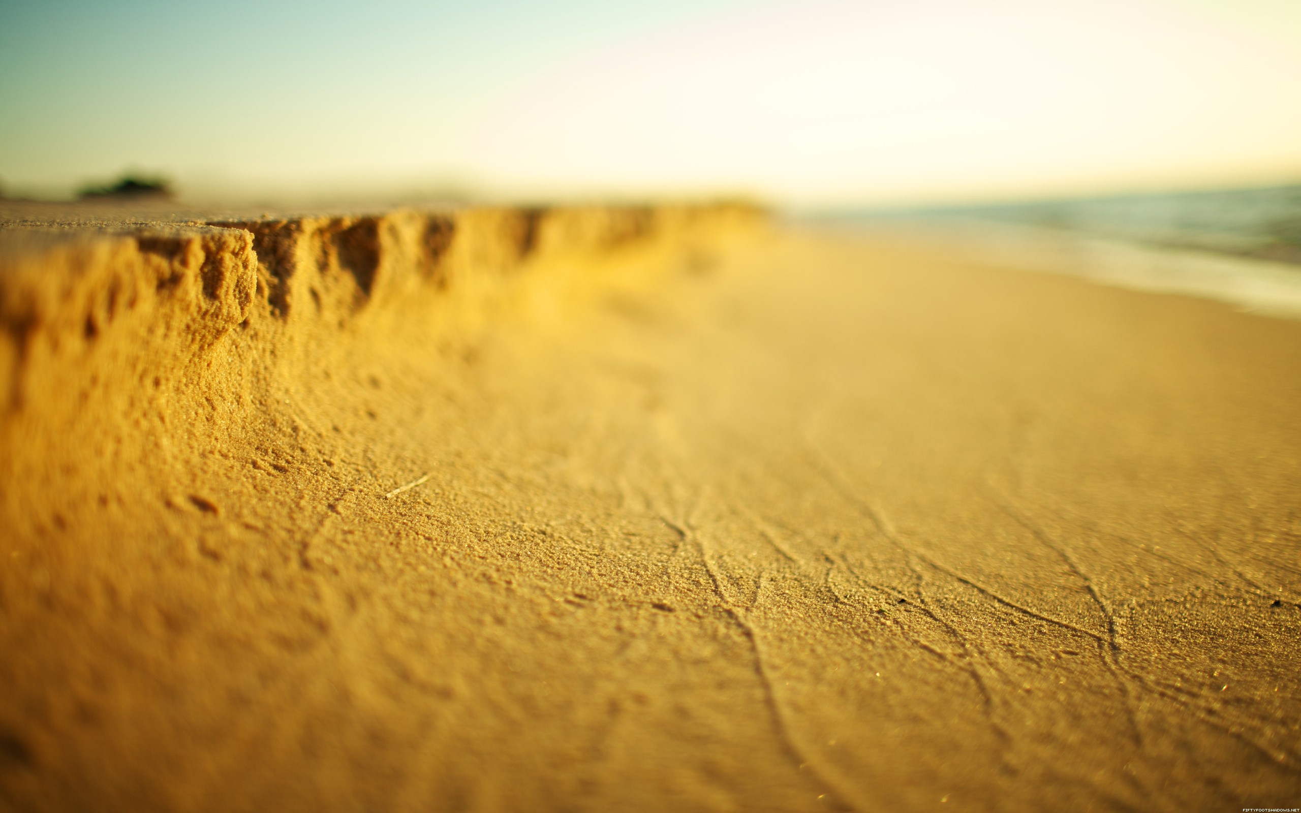 Macro Tilt Shift Beach Sand Hd Wallpaper Nature And Landscape