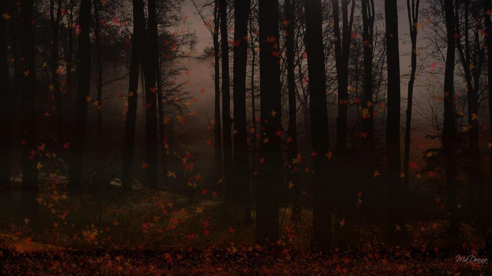 Autumn Dusk In The Forest wallpaper,forest HD wallpaper,firefox persona HD wallpaper,woods HD wallpaper,evening HD wallpaper,dusk HD wallpaper,fall HD wallpaper,widescreen HD wallpaper,autumn HD wallpaper,3d & abstract HD wallpaper,1920x1080 wallpaper