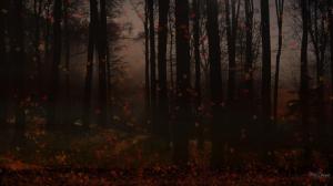 Autumn Dusk In The Forest wallpaper thumb